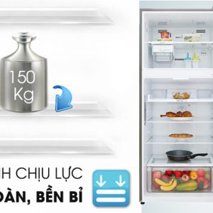 Tủ lạnh LG Inverter 393 lít GN-m422PS